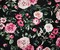 Black-Multi Rayon Stretch Spandex Floral Print Jersey Knit Fabric By the Yard